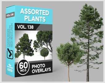 60 Assorted Plants Photo Overlays for Photoshop, Home Plants, Plants, Cutouts, Scrapbooking, PNG Overlays, Digital Downloads