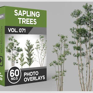 60 fotoöverlägg med plantor för Photoshop, träd, växter, utklipp, landskap, PNG-överlägg, digitala nedladdningar