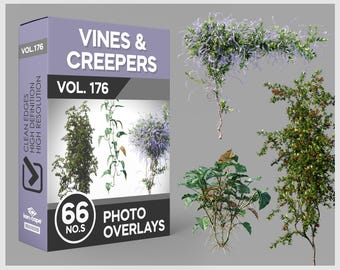 66 Vines & Creepers Photo Overlays for Photoshop, Vines, Ivy, Plants, Cutouts, Scrapbooking, PNG Overlays, Digital Downloads