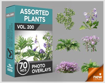 May include: A digital product box labeled Assorted Plants Vol. 200 containing 70 photo overlays. The box features a teal and black design with text including Clean Edges, High Definition, and High Resolution. Six distinct plant images are displayed.