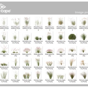 80 Gras-Foto-Overlays für Photoshop, Gras, Landschaft, Pflanzen, Ausschnitte, Scrapbooking, PNG-Overlays, digitale Downloads Bild 3