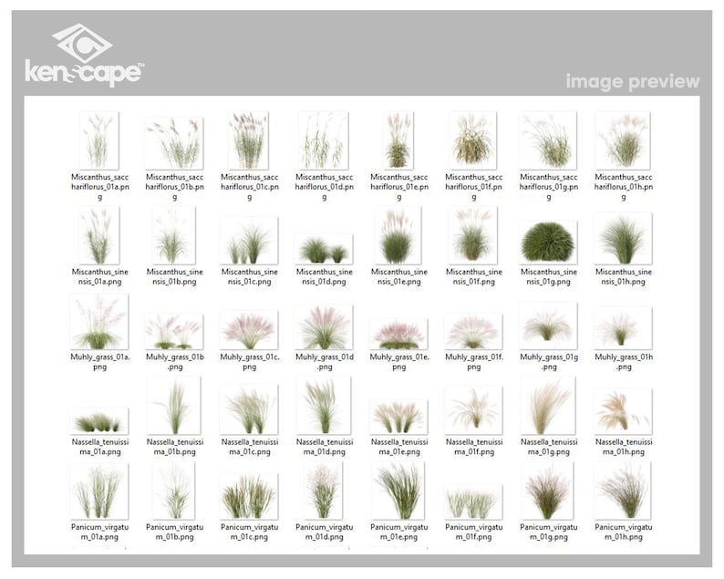 80 Gras-Foto-Overlays für Photoshop, Gras, Landschaft, Pflanzen, Ausschnitte, Scrapbooking, PNG-Overlays, digitale Downloads Bild 3
