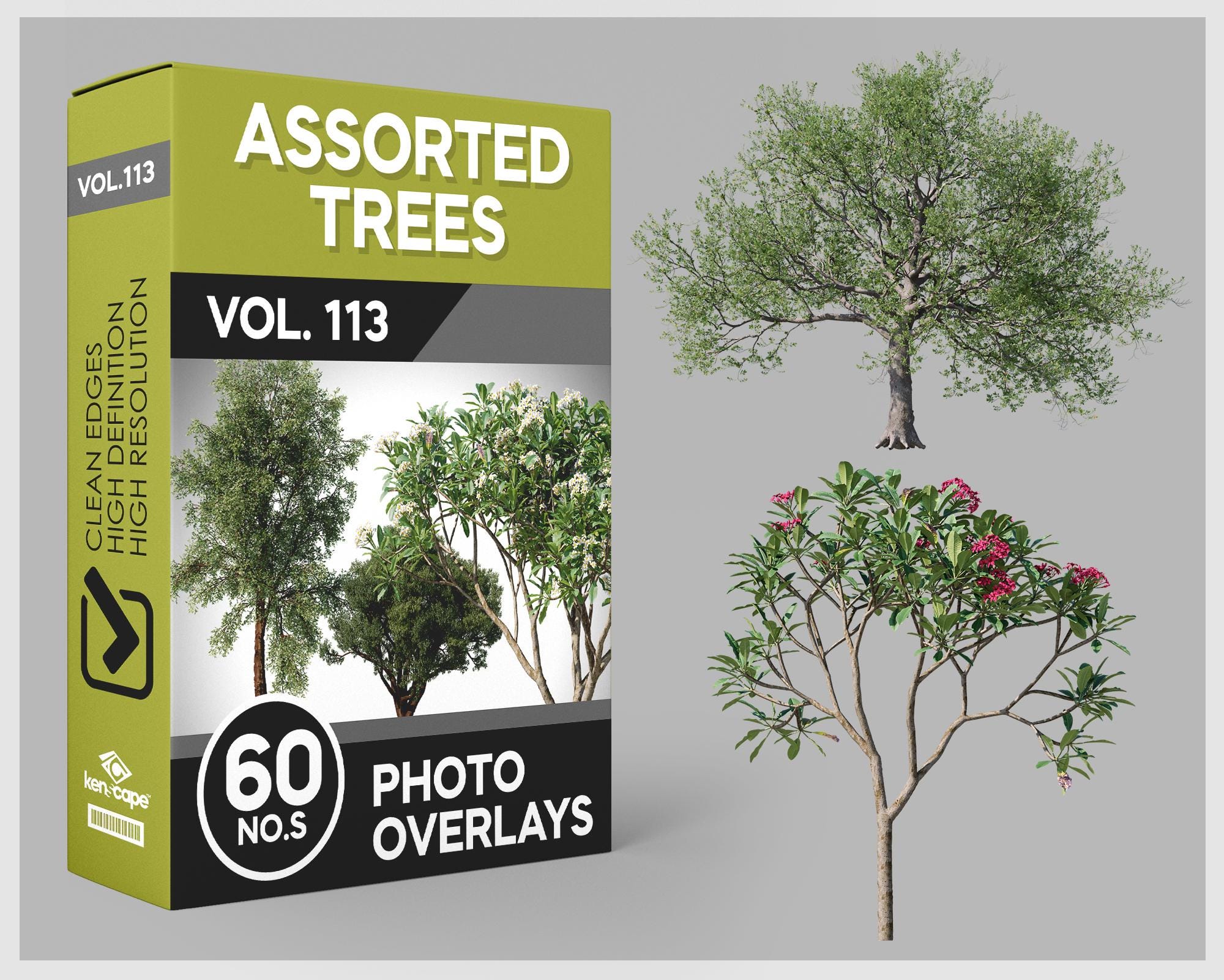 60 Assorted Trees Photo Overlays for Photoshop, Trees, Plants, Cutouts ...