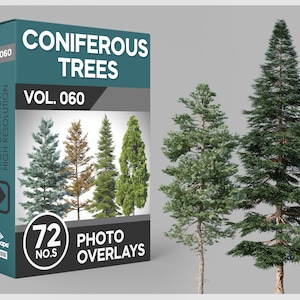 72 Coniferous Trees Photo Overlays for Photoshop, Trees, Plants, Conifers, Scrapbooking, PNG Overlays, Digital Downloads