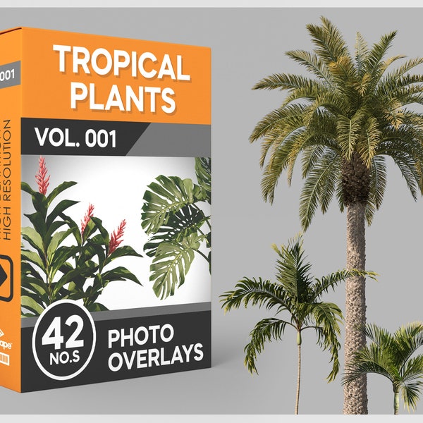 42 Tropical Plants Photo Overlays for Photoshop, Trees, Tropical Plants, Plants, Cutouts, Scrapbooking, PNG Overlays, Digital Downloads