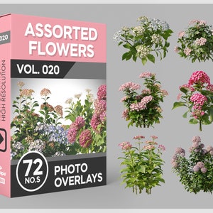 Puede incluir: Una caja de producto con fondo rosa y el texto "ASSORTED FLOWERS VOL. 020" en blanco. La caja presenta un collage de 72 imágenes de flores diferentes, con una variedad de colores y estilos. El texto "72 NO.S PHOTO OVERLAYS" también está incluido en la caja.