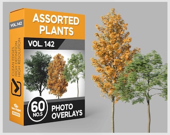 60 Assorted Plants Photo Overlays for Photoshop, Home Plants, Plants, Cutouts, Scrapbooking, PNG Overlays, Digital Downloads
