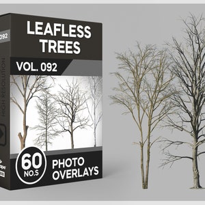 May include: A box of 60 leafless tree photo overlays, labeled "Leapless Trees Vol. 092". The box features a black background with white text and a preview of the overlays.