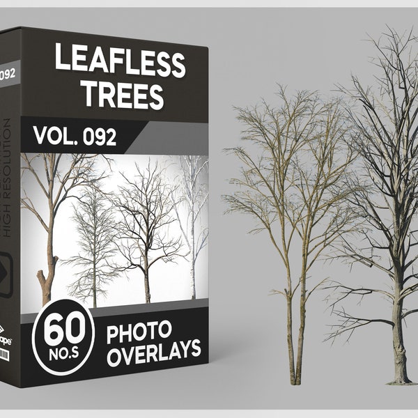 60 Leafless Trees, Bare Trees, Dead Trees, Tree Limbs, Landscape, Digital Download, PNG Overlays