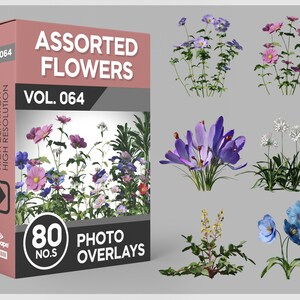 80 blandade blommor fotoöverlägg för Photoshop, blommor, trädgårdsblommor, växter, utklipp, scrapbooking, PNG-överlägg, digitala nedladdningar