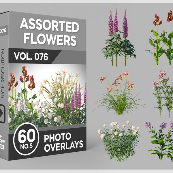 60 Assorted Flowers Photo Overlays for Photoshop, Flowers, Garden Flowers, Plants, Cutouts, Scrapbooking, PNG Overlays, Digital Downloads