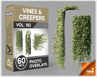 May include: A digital product box labeled Vines & Creepers Vol. 182 containing 60 photo overlays. The box features text including Clean Edges, High Definition, and High Resolution. Next to the box are two vertical green vine plant displays.