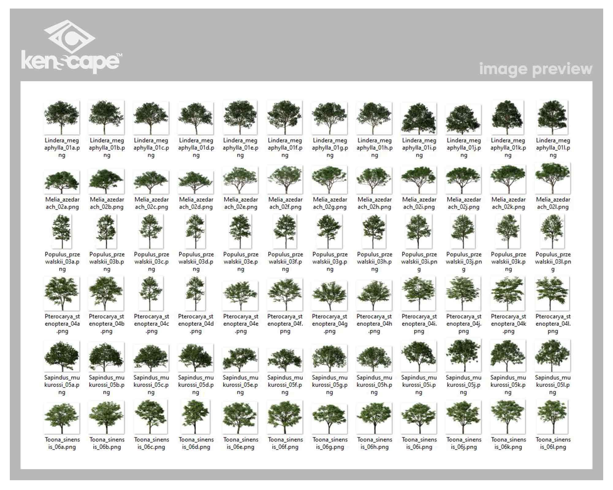 72 Assorted Trees Photo Overlays for Photoshop, Trees, Plants, Cutouts ...