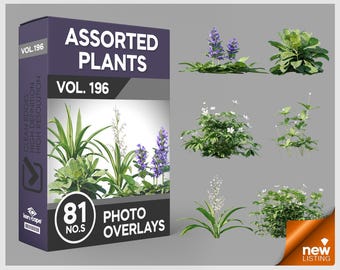 May include: A digital product box labeled ASSORTED PLANTS VOL. 196 containing 81 photo overlays. The box displays various green plants with purple and white flowers. Six individual plant images are arranged to the right of the product box.
