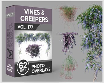 62 Vines & Creepers Photo Overlays for Photoshop, Vines, Ivy, Plants, Cutouts, Scrapbooking, PNG Overlays, Digital Downloads