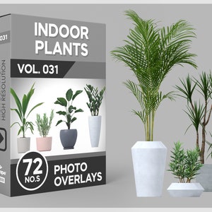 May include: A box of 72 indoor plant photo overlays, labeled "Indoor Plants Vol. 031". The box shows five different plants in pots, including a palm tree, a fern, and a succulent. The text "Clean Edges, High Definition, High Resolution" is on the side of the box.