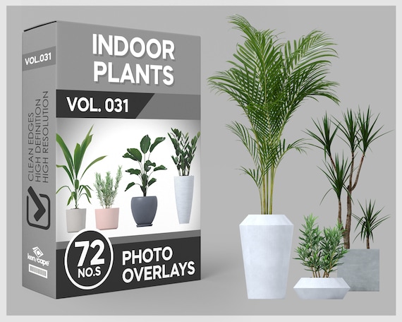 72 Indoor Plants Photo Overlays for Photoshop, House Plants, Potted Plants, Plants, Cutouts, Scrapbooking, PNG Overlays, Digital Downloads