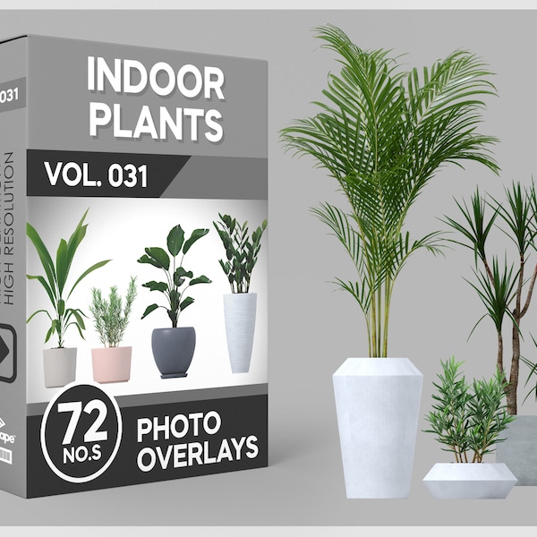 72 superposiciones de fotos de plantas de interior para Photoshop, plantas de interior, plantas en macetas, plantas, recortes, álbumes de recortes, superposiciones PNG, descargas digitales
