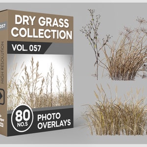 80 Dry Grass Photo Overlays for Photoshop, Grass, Landscape, Dead Grass, Cutouts, Scrapbooking, PNG Overlays, Digital Downloads