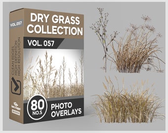 80 superposiciones fotográficas de hierba seca para Photoshop, césped, paisajes, hierba muerta, recortes, álbumes de recortes, superposiciones PNG y descargas digitales.