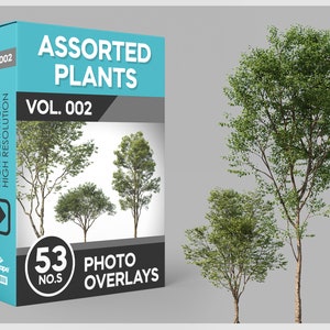 May include: A product box labeled "ASSORTED PLANTS VOL. 002" with "53 PHOTO OVERLAYS". The box is teal and gray, with images of trees. To the right are three trees with green leaves and brown trunks, set against a gray background.