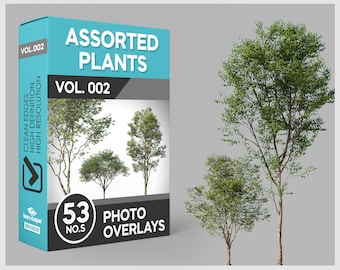 53 Trees Photo Overlays: Photoshop PNG Cutouts (Digital Download)