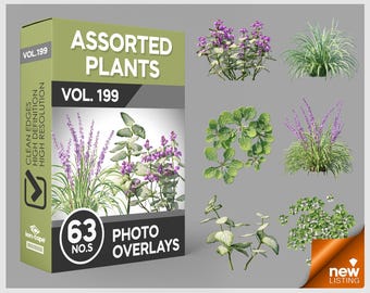 May include: A digital product box labeled ASSORTED PLANTS VOL. 199 containing 63 photo overlays. The box features green and black panels with text, and the image displays six distinct plant varieties including purple flowering grasses and green foliage.