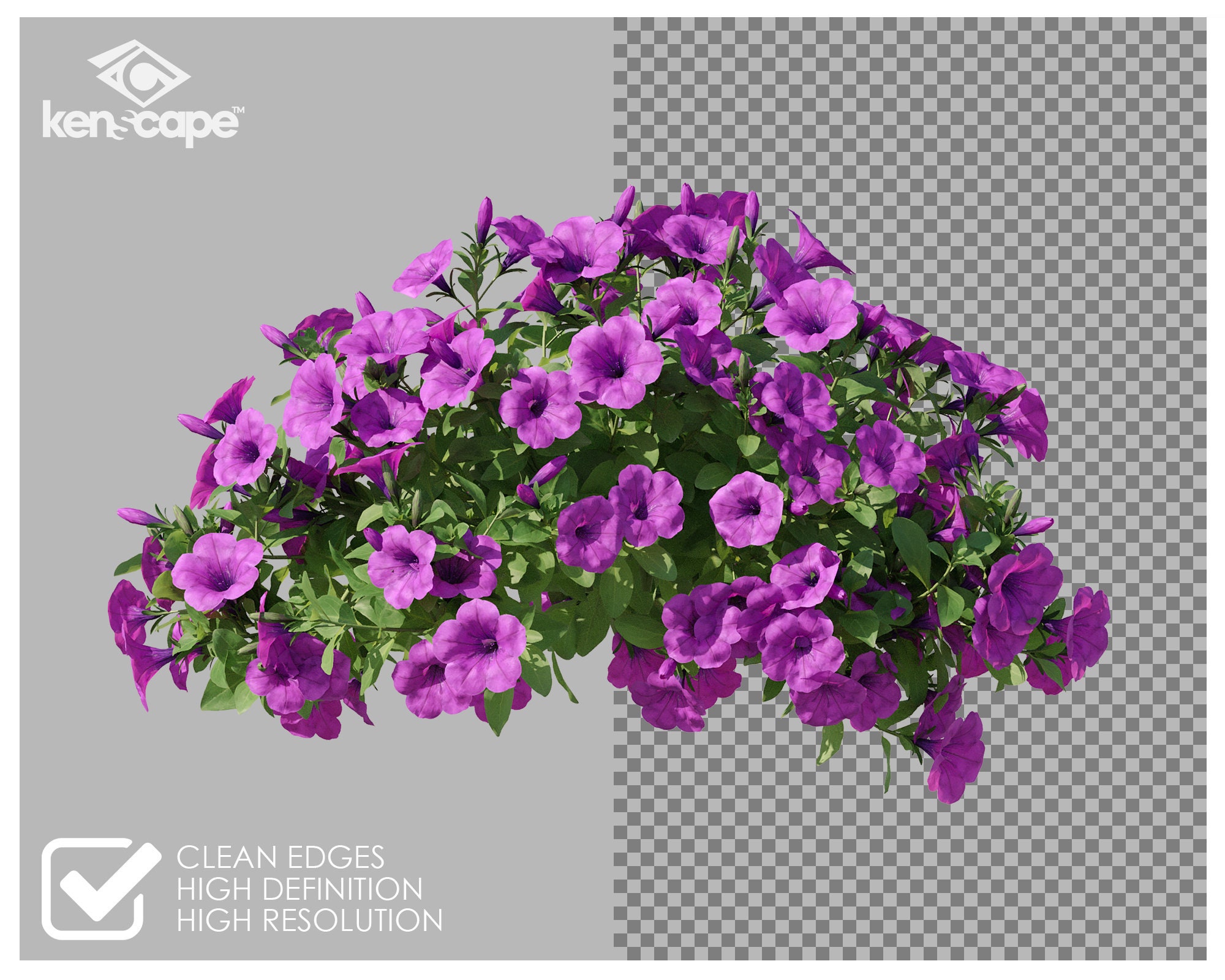 72 Assorted Flowers Photo Overlays for Flowers, Garden