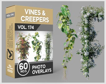 60 Vines & Creepers Photo Overlays for Photoshop, Vines, Ivy, Plants, Cutouts, Scrapbooking, PNG Overlays, Digital Downloads