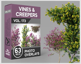 63 Vines & Creepers Photo Overlays for Photoshop, Vines, Ivy, Plants, Cutouts, Scrapbooking, PNG Overlays, Digital Downloads