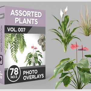 以下が含まれることがあります： 様々な植物が描かれた78枚の写真オーバーレイが入った箱。箱はピンクで、前面に「VOL. 007 ASSORTED PLANTS VOL. 007」の文字が書かれている。箱の側面には「CLEAN EDGES HIGH DEFINITION HIGH RESOLUTION」の文字も書かれている。箱は灰色の背景の上に置かれている。