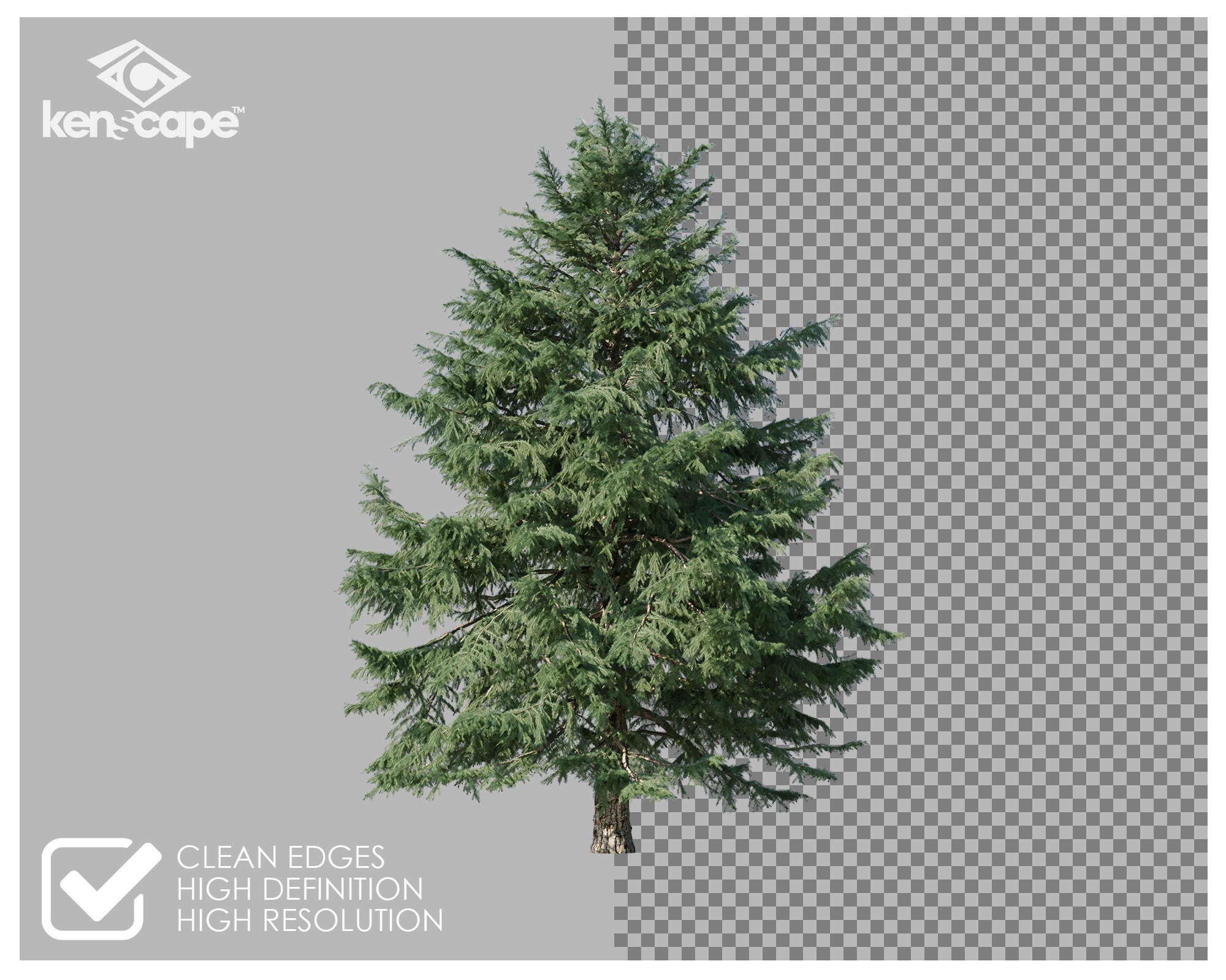 72 Coniferous Trees Photo Overlays for Photoshop, Trees, Plants ...