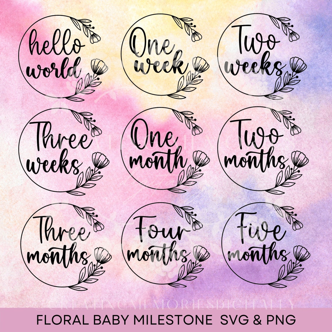 Floral Baby Rounds Svg, Baby Milestone Rounds SVG, Baby Rounds SVG PNG ...