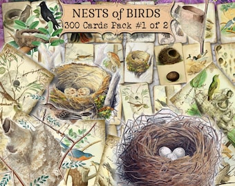 Vogelnesten #1 Junk Journal Pagina's, Lente Broedseizoen, Gespikkelde Eieren, Bosdieren, Vintage Ephemera, Printbaar Collageblad
