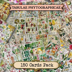 Tabulae Phytographicae - set of 40 pictures on 150 cards in JPG format with illustrations instant download vintage flora botanical elements