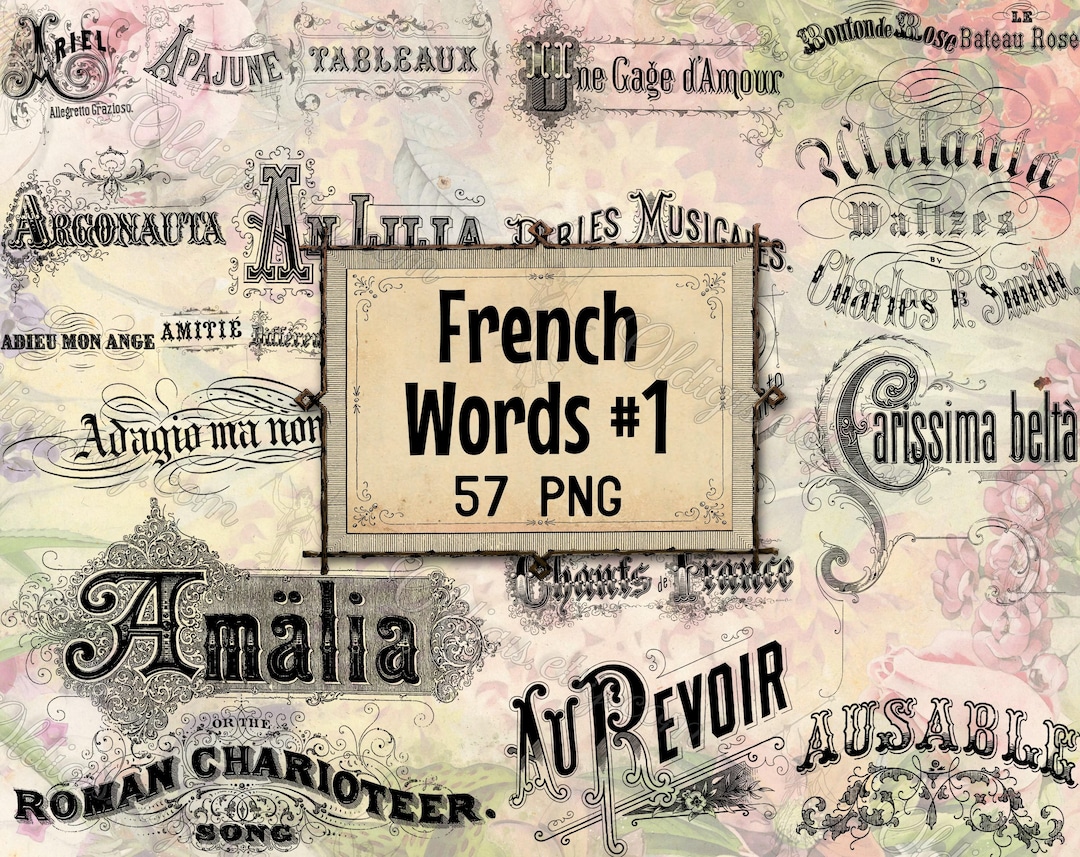 PNG FRENCH WORDS #1 Vintage Digital Overlay, Antique Typography Clipart ...