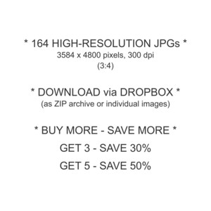 May include: A digital product listing featuring 164 high-resolution JPGs at 3584 x 4800 pixels and 300 dpi with a 3:4 aspect ratio. The text indicates a download via Dropbox as a ZIP archive or individual images, plus promotional savings offers.
