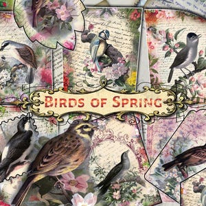 Aves de primavera: conjunto de 42 hojas de diario basura con collages digitales de diseños gráficos de estilo vintage, letras manuscritas enmarcadas con motivos florales.