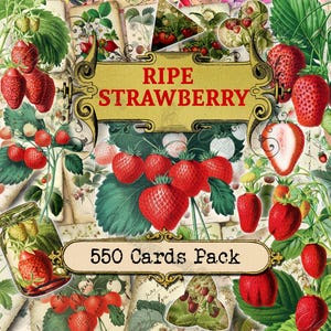 Ripe Strawberry - set of 40 pictures on 550 cards in JPG with antique illustrations vintage image berries succulent victorian century fryuts