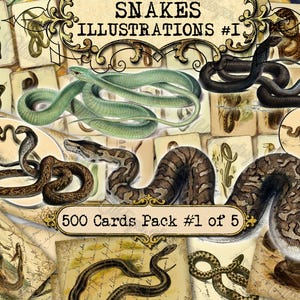 Snakes Illustrations #1 Junk Journal Pages, Vintage Snakes, Antique Serpent Wildlife, Scrapbook Paper Kit, Victorian Reptiles Ephemera