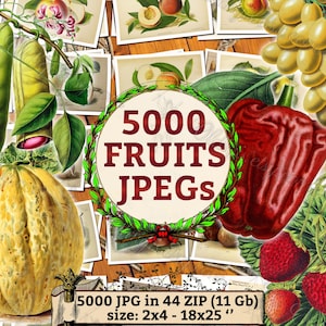 May include: A collage of 5,000 fruit and vegetable images in JPG format. The images are arranged in a grid pattern and include a variety of fruits and vegetables, such as grapes, strawberries, melons, peppers, and peaches. The text "5000 FRUITS JPEGS" is displayed in a large, bold font at the center of the collage. The text "5000 JPG in 44 ZIP (11 Gb) size: 2x4 - 18x25" is displayed at the bottom of the collage.
