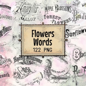 FLORES PALABRAS PNG - conjunto de 122 archivos en formato png con capa de fondo transparente, kit de descarga digital instantánea, paquete de títulos decorados