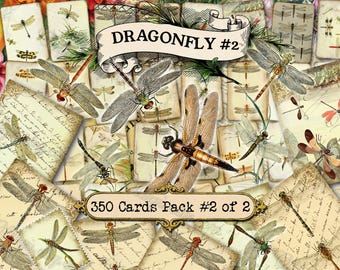 Dragonfly #2 - set of 40 pictures on 350 cards in JPG format with antique illustrations instant digital download for commercial use insects