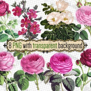 PNG FLOWERS Rose-8 - 透明な背景のPNG形式の8つのファイルのセット、jpgデジタルダウンロード、ヴィンテージプリント、花束、古い本