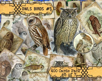Owls Birds #5 Junk Journal Cards, Forest Wildlife, Printable Collage Sheet, Woodland Animals, Victorian Vintage Ephemera, Scrapbook Kit