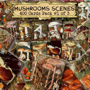 Champignons, scènes #1 - lot de 40 photos sur 400 cartes d'illustrations anciennes vintage encarts pour collage de journal indésirable naturel clip art couleur