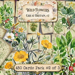 Wild Flowers of Great Britain #2 Botanical Junk Journal, Vintage Herbarium Ephemera, Meadow Flora, Garden Flowers, Spring Blossoms, 70 JPG