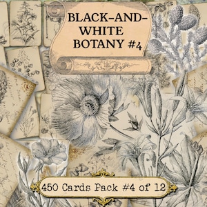 Botanique en noir et blanc n°4 - lot de 40 images sur 450 cartes avec illustrations anciennes téléchargement numérique instantané pour croquis à usage commercial