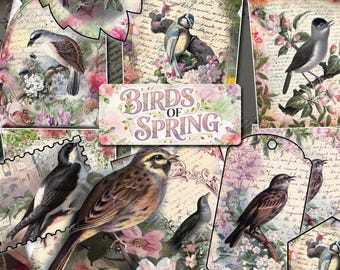 春の鳥のデジタルペーパー、ヴィンテージ植物エフェメラ、ビクトリア朝の庭園イラスト、花のアート、アンティークな背景、印刷可能なデザイン