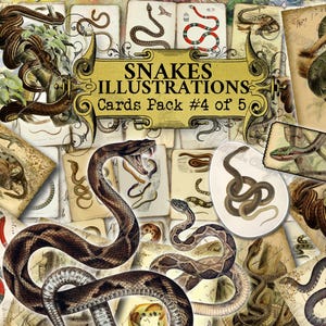Snakes Illustrations #4 Junk Journal Kit, Dark Academia, Apothecary, Occult Aesthetic, Gothic Nature, Reptile Wildlife, Vintage Ephemera